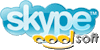 Contacte-nos pelo Skype